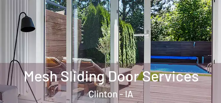 Mesh Sliding Door Services Clinton - IA